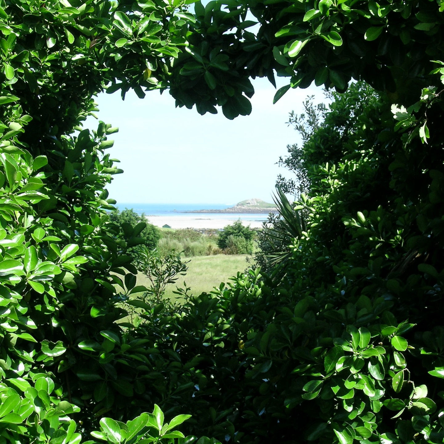 A travers le coeur...