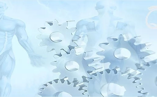 ¿Nos preocupamos de mantener nuestro cuerpo a punto?