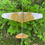 Miniatura: Wind spinner aircraft faithful reproduction of Caproni CA 311 for garden decor