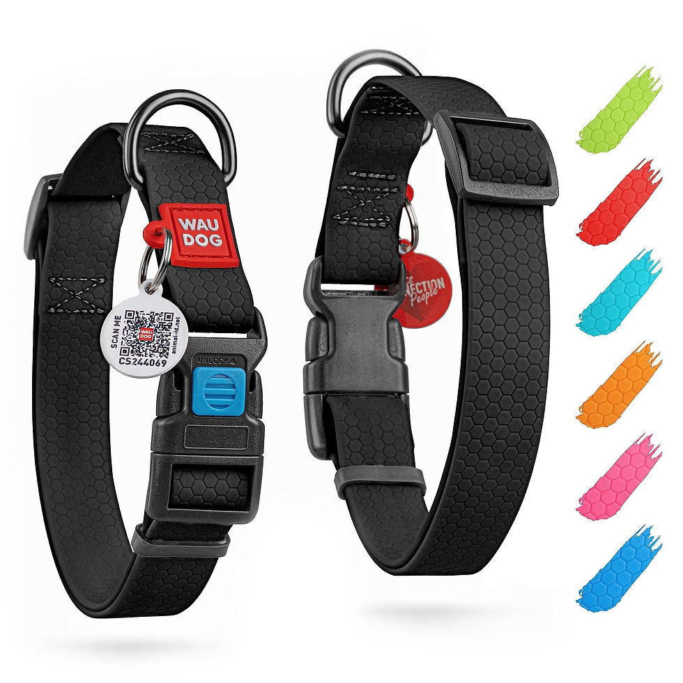 Miniatura: Black Waterproof Dog Collar Adjustable for Medium Dogs 1016 inch Neck