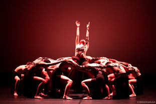 NOUVELLE CREATION DE LA CIE SFAC représentation à Paris les 25-26 novembre 2022