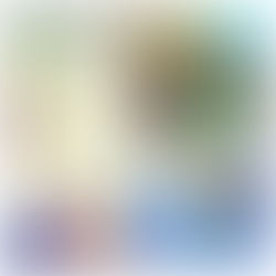 DEFI UNE OEUVRE/UNE PHOTO