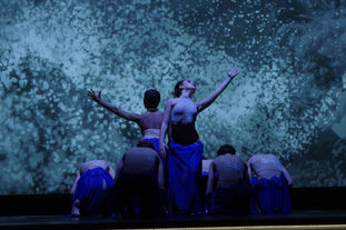 NOVEMBRE: SFAC PARTICIPE AU 7 EME FESTIVAL MFCE ORGANISÉ PAR L'AMBASSADE DE FRANCE EN CHINE