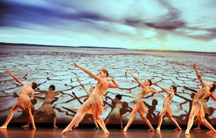 CONFERENCE "BIODIVERSITE EN DANGER"