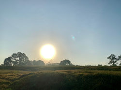 Sunrise