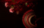 DSC03861.jpg