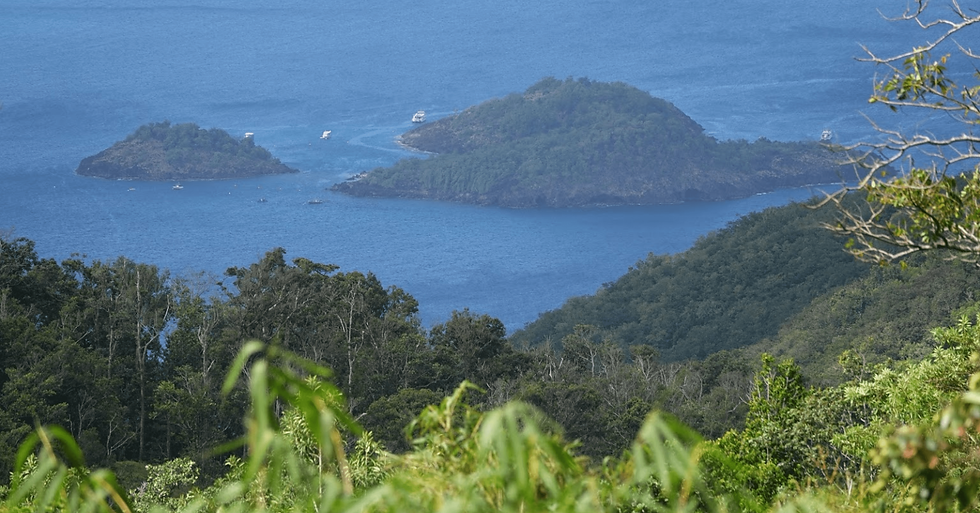 Hauteurs de Bouillante ilet pigeon