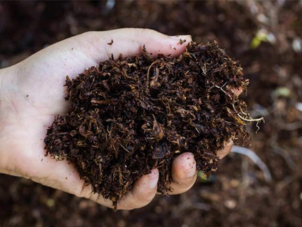 Govt to purchase locally-manufactured organic fertilizer for Yala Season
