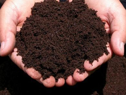 Sri Lanka suspends importing organic fertilizer from Chinese company