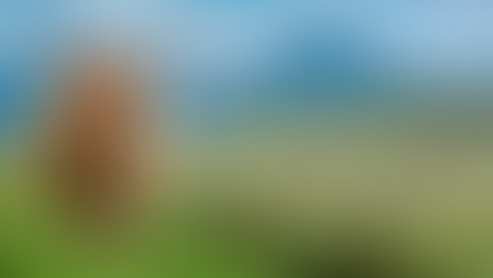 Wee Winter Breaks on the Isle of Skye and Argyll