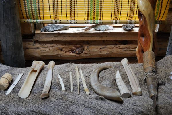 Various shaped bones are neatly arranged on a fur surface inside a rustic cabin. A window with a yellow bamboo blind is in the background.