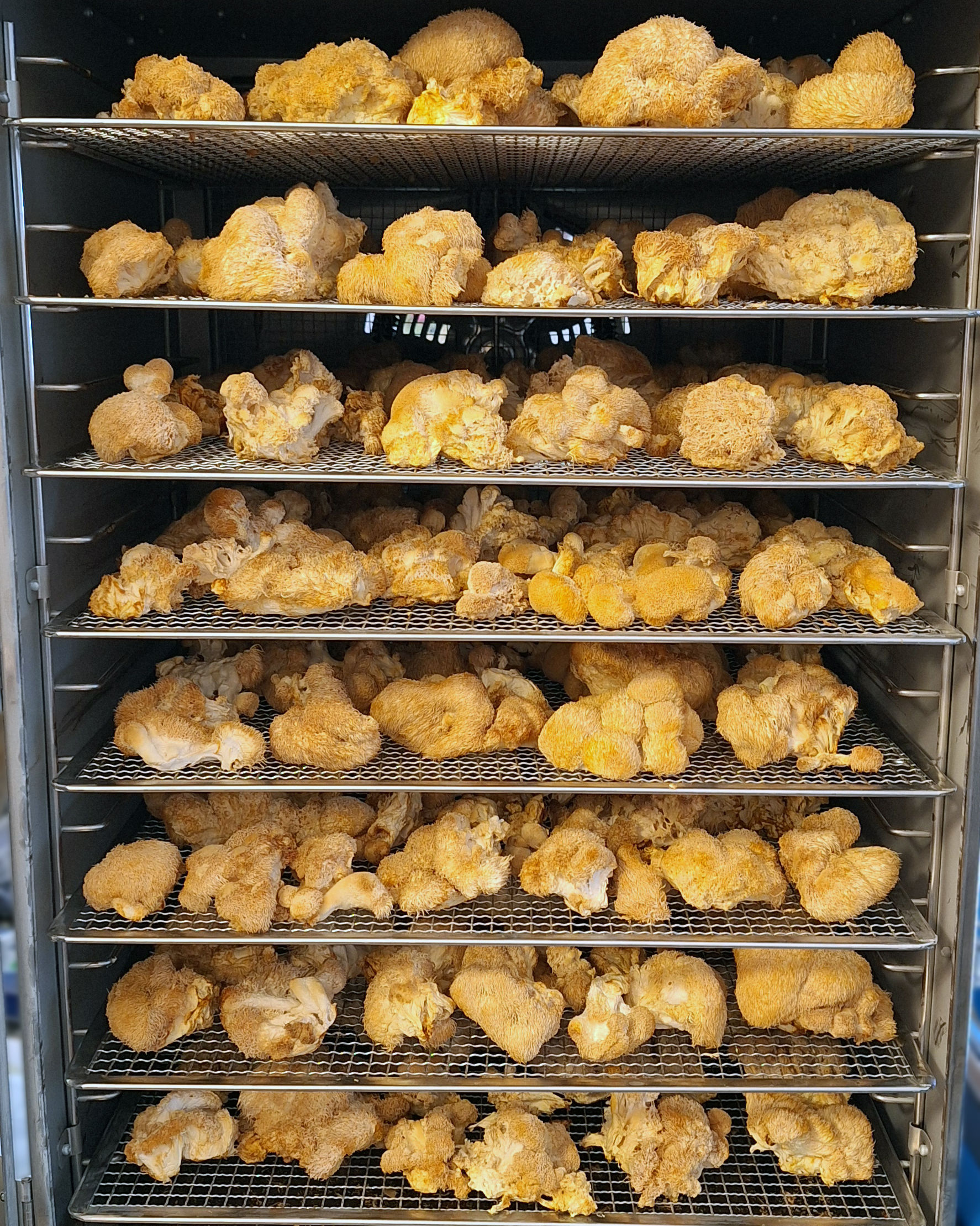 Colorado Natural Medicine Cultivation or Product Manufacturing Consulatation