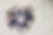 Captura de pantalla 2026-03-12 a la(s) 11.38.37 a. m..png