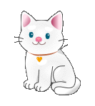 Flow 18_1x-25fps.gif