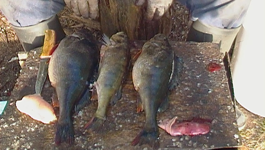 z_1827cb33.jpg
