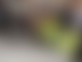 Oppstart , "søke knapp" og arrangement slipp ❤️