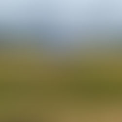 How Rural Hospitals Can Strengthen Safe Workplaces