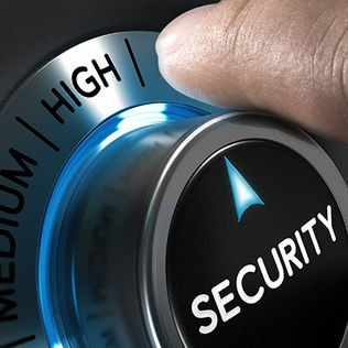 Executive Protection