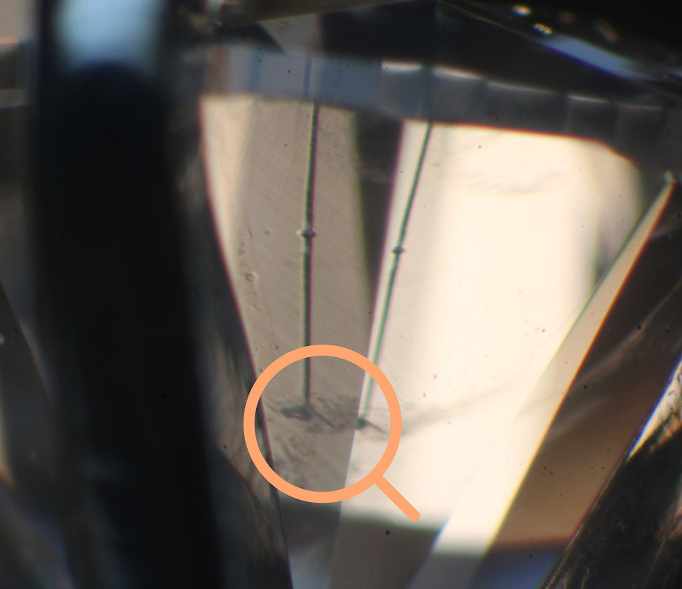 crystal inclusion