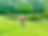 519545644_1328825512585891_1692416985332483582_n.jpg