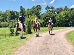 AirBnB | The Williams Ranch | Huntsville, TX