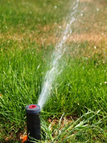 Sprinkler Inspections