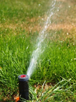 Sprinkler Inspections