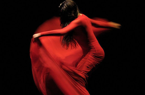 Festival Flamenco Vejer
Danza Vejer
Cultura Vejer
flamenco españa