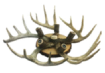 5 light Real Antler Ceiling Fixture " Cabin Fever"