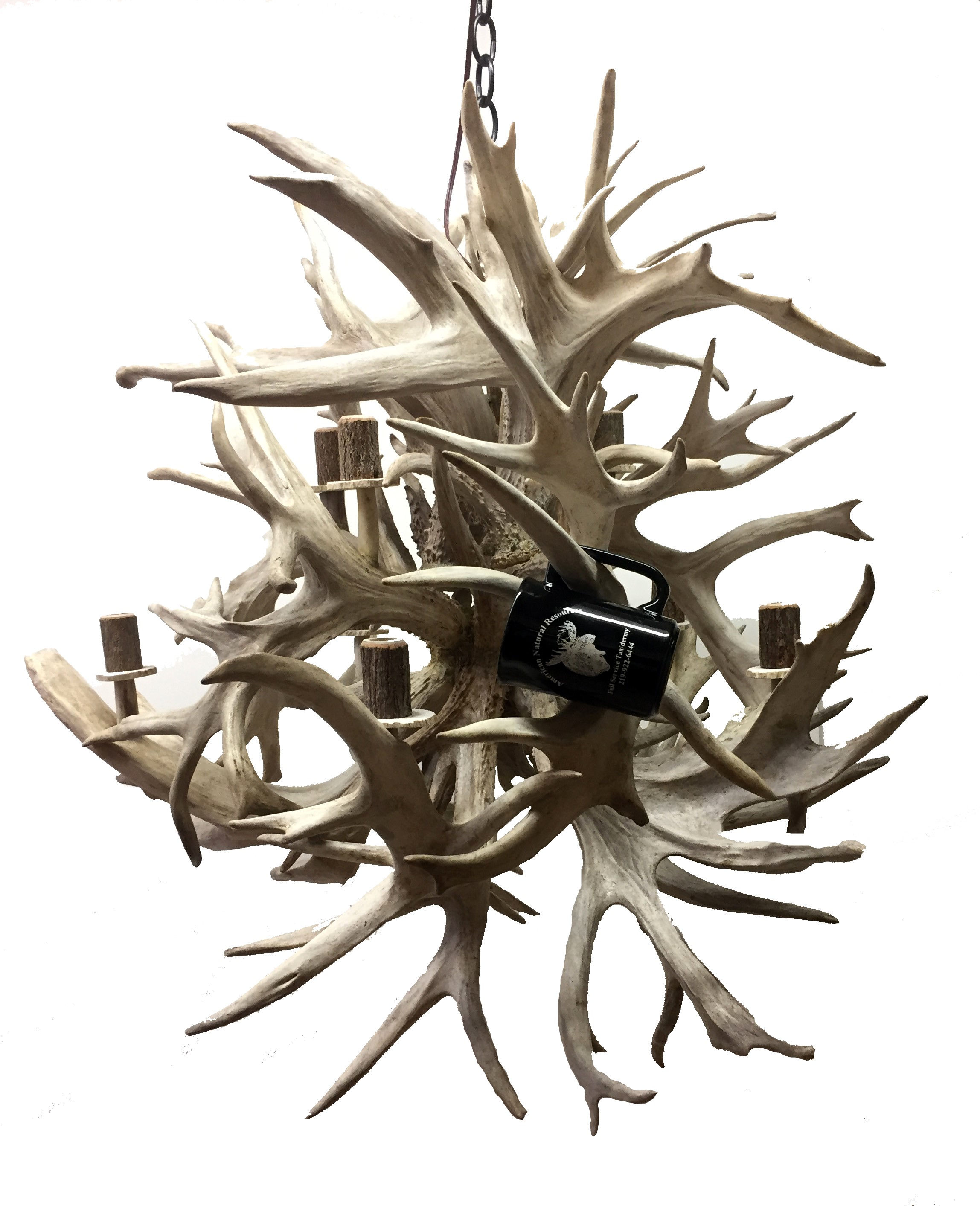giant antler chandelier forty eight pound fireball