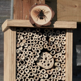Bee kind - build a bee OR bug hotel.