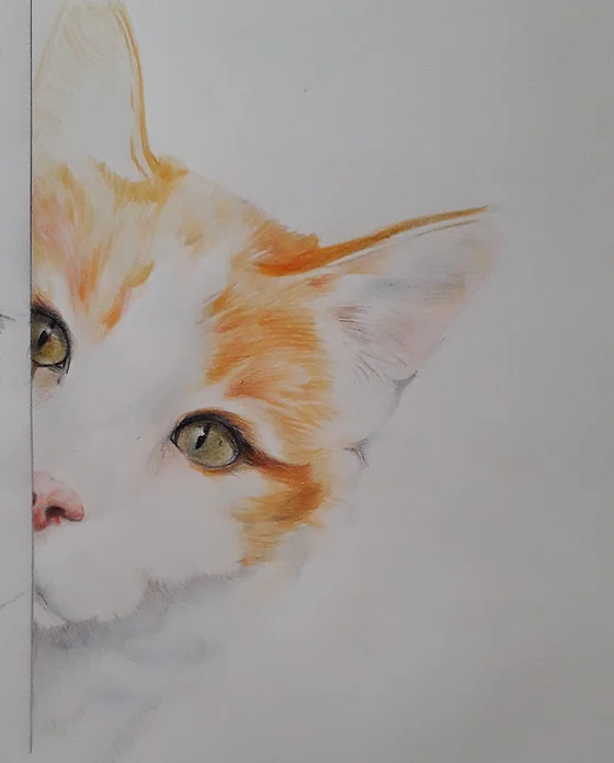 Portaits De Chats à Laquarelle Aux Crayons à La Plume