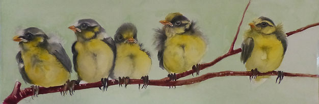 mésanges, aquarelle
