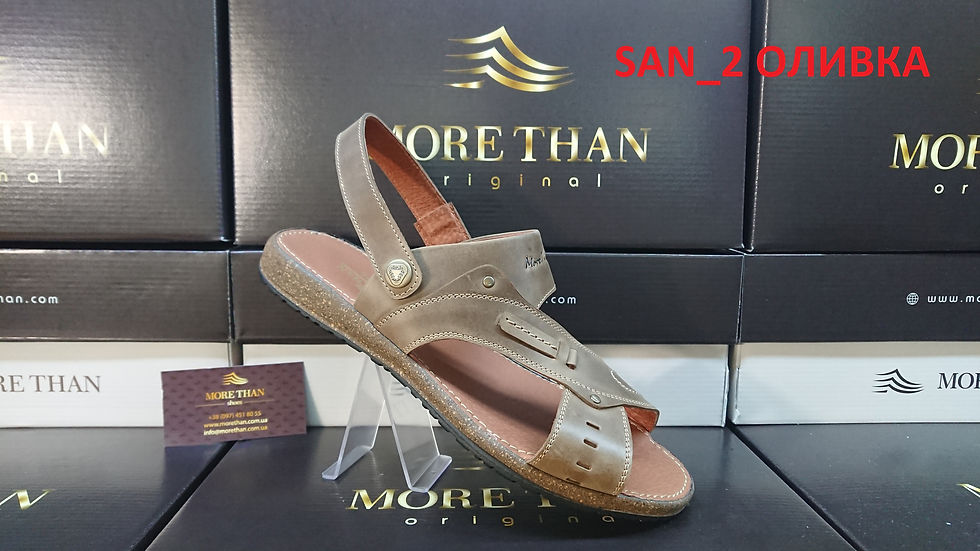 12.SAN_2 ОЛИВКА