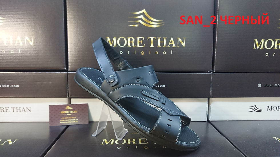 10.SAN_2 ЧЕРНЫЙ