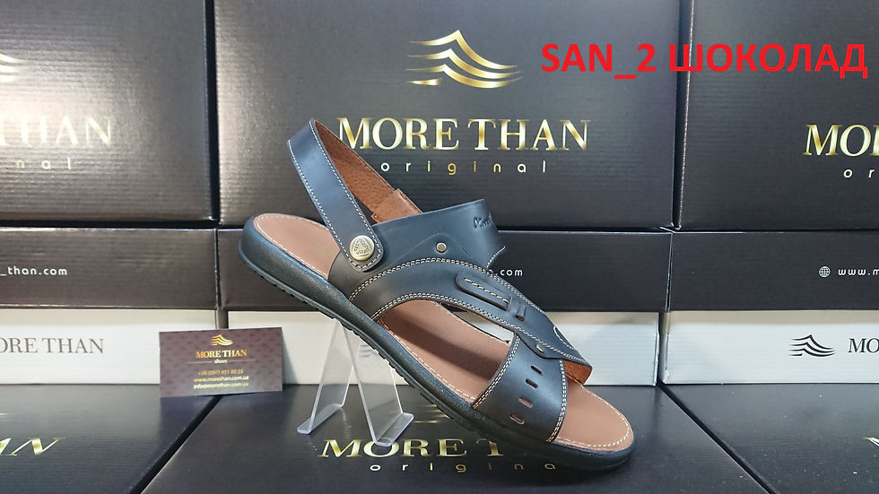 11.SAN_2 ШОКОЛАД