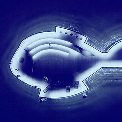 Fish at Night_edited_edited.jpg