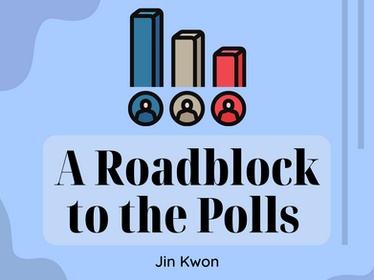 A Roadblock to the Polls