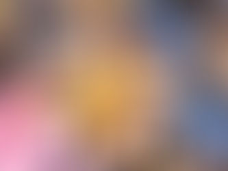 FLOWER PASTRY COOKIES WITH RED BEAN FILLING 