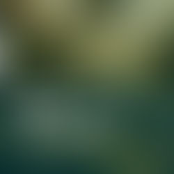 Top Reasons Guests Return to the Same Homestay Again