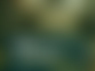 Top Reasons Guests Return to the Same Homestay Again