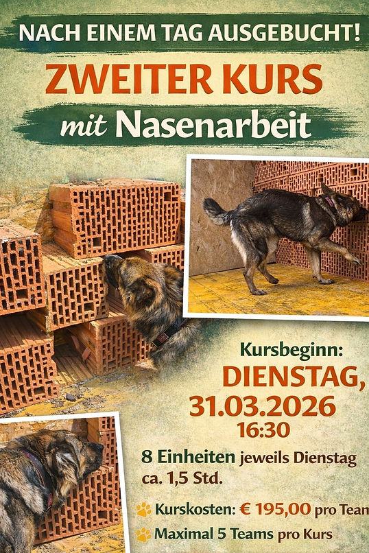 Nasenarbeit Kurs.jpg