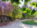 Feuillages du Jardin du Dolaizon