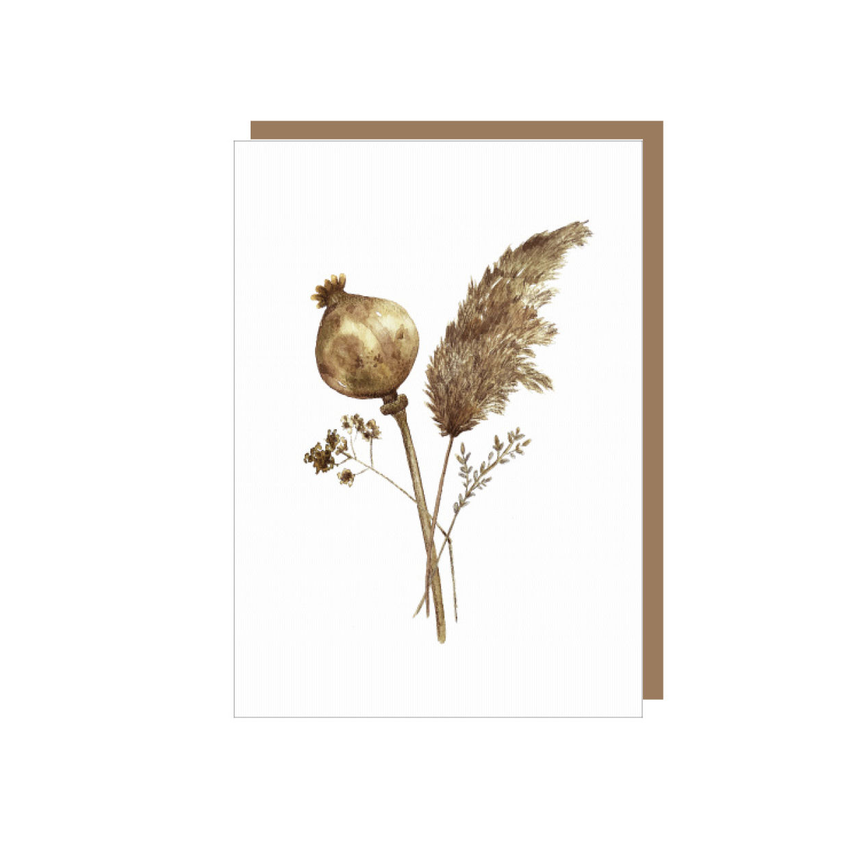 Droogbloemen - kaart met envelop