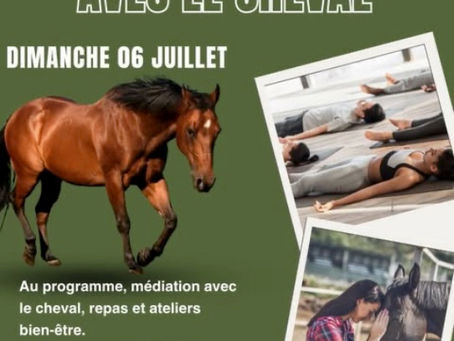 Journée Bien-Être avec le Cheval