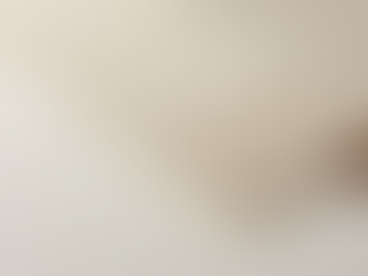 Veneer Slate || Flexible Stone Veneer Manufacturer in India