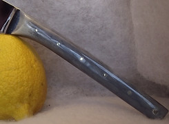 DSCF0439.JPG