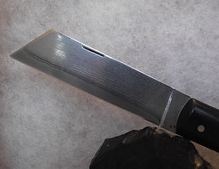 DSCF0546.JPG