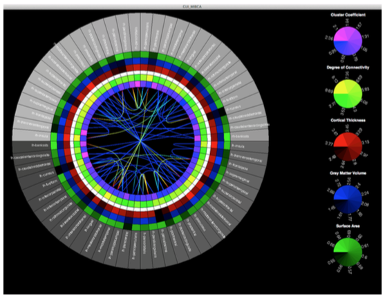 Connectogram