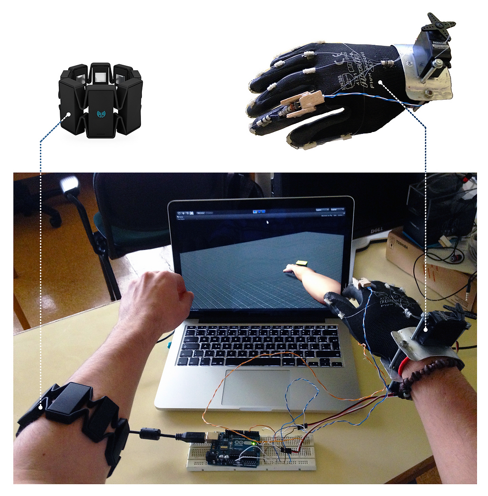 Hand Therapist